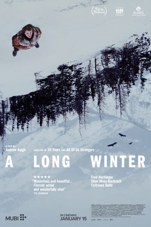 A Long Winter poster