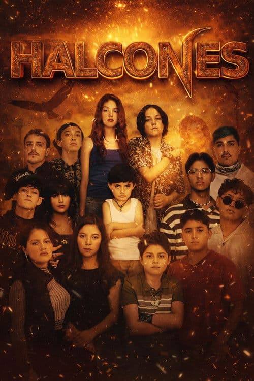 Falcons poster